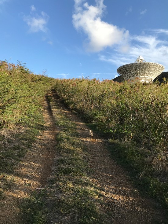 01F322D7-95B0-4FEB-A997-2FD039459E0C