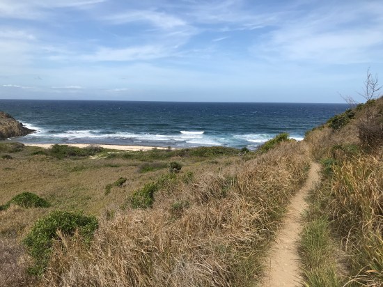 050FEBF2-2B16-4A12-B8A8-30E1CFBA8A79