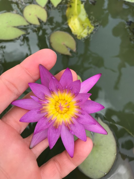 09C4190D-B21D-4A5A-8CF2-5F4BA5494068