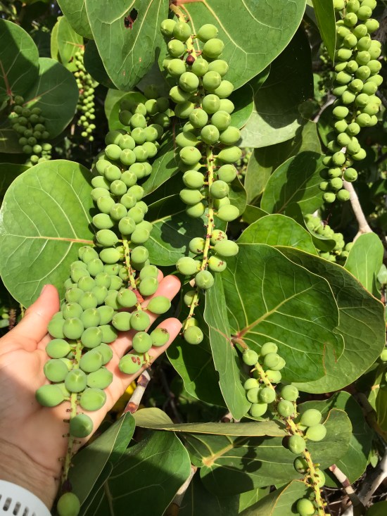 28901ED3-9BC5-43E5-BEEB-FF276F6A1854