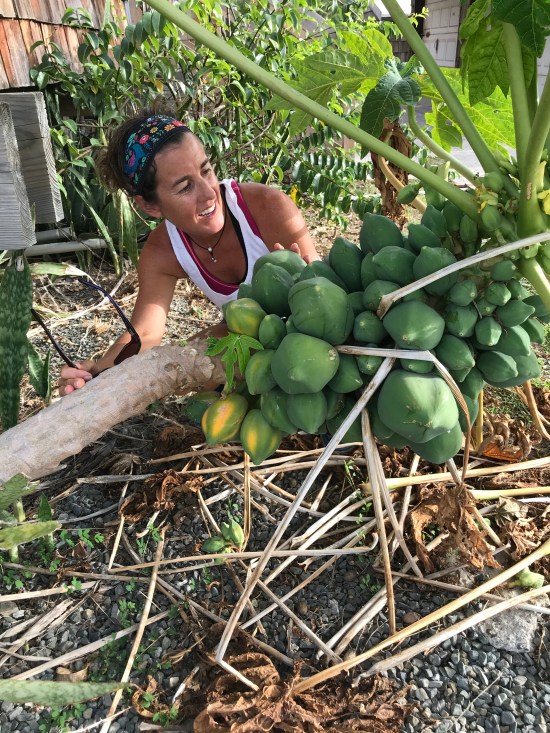 5091F78A-E781-4733-9D9A-807E0E880CDF