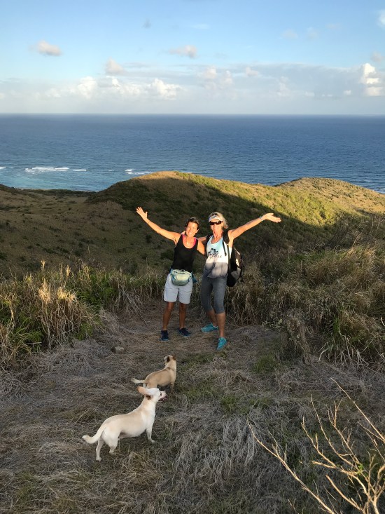 5A98A77E-9129-4C74-83C4-F8FFABFE263C