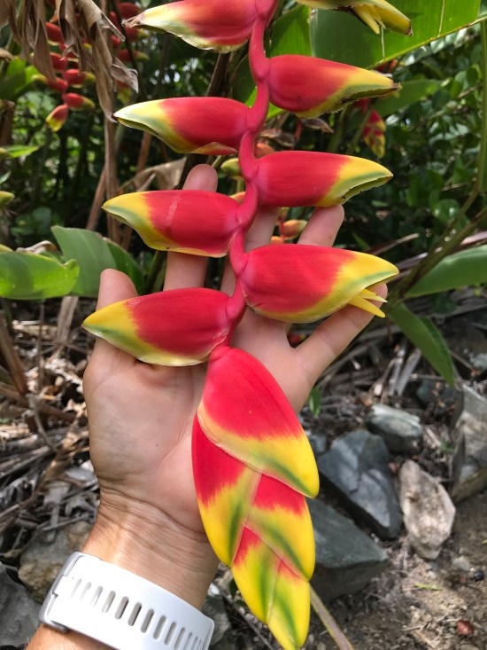 662CCC92-EF73-487E-B227-8AAA4FF85E65