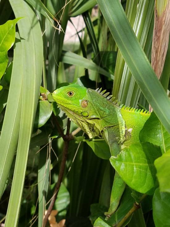 6E1DDDF3-319A-459A-80AD-611B24530D72