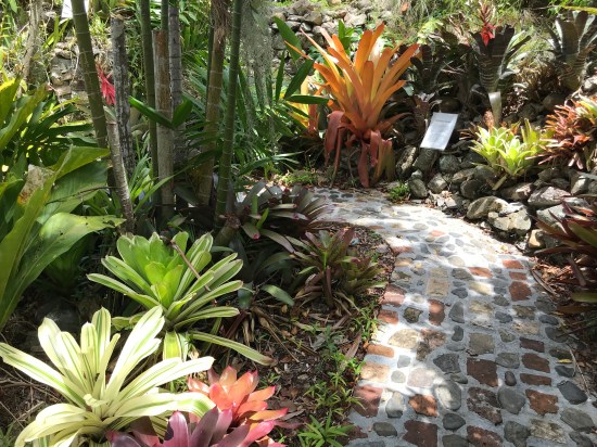 79426656-5538-400B-8D9D-3A82509E3CAC