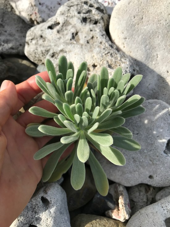 83A17A32-5137-4751-B86D-BD9E47801474