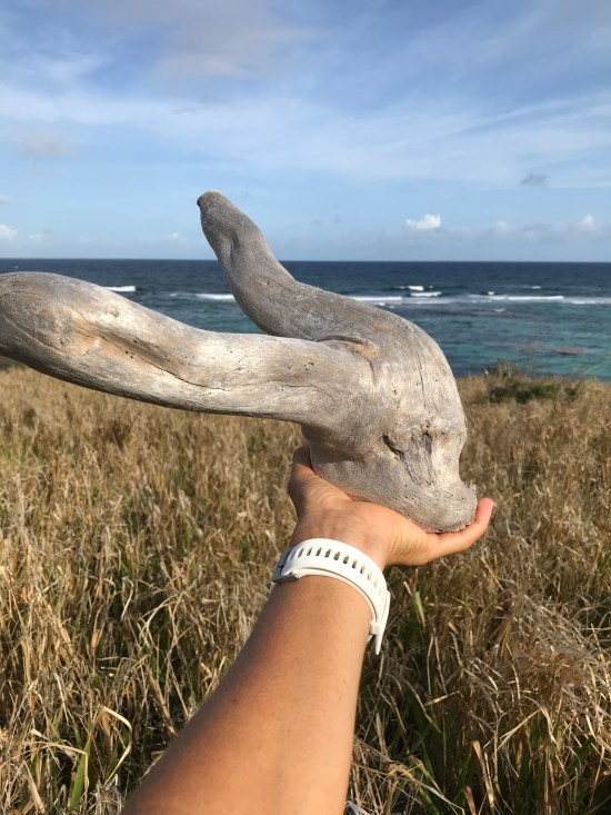 916CCBFE-7A2D-431C-BC3F-84F6E5B2929E