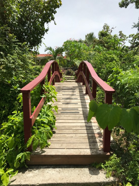 A985A47E-57F8-4E8B-BC7B-806DEA718E52