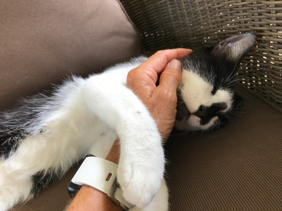 B4E92A9F-08E8-4F23-A3C5-D89CA8AD5DA3