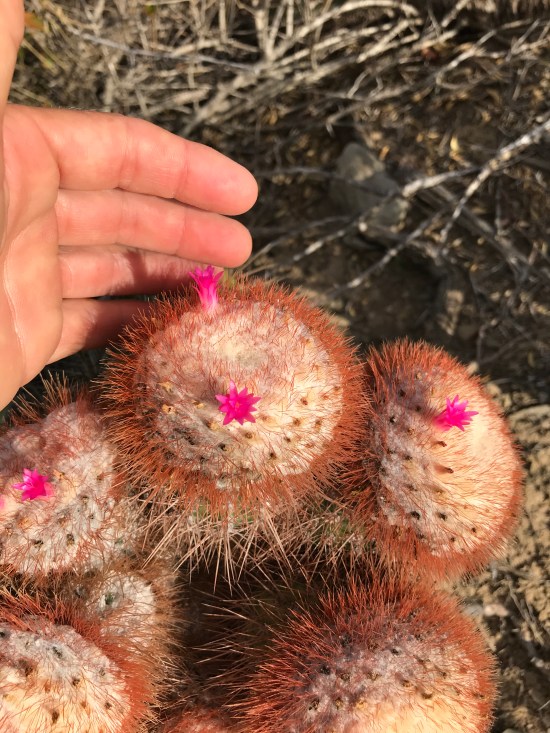 DE184280-7363-43B2-93B9-2F2FECD791EB