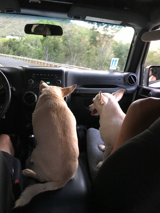 FCC53DE2-2841-4CA8-AE76-04A3D51270AB